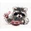 Mapache