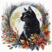 The Night Cat