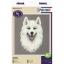 Samoyed