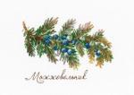 Gifts of Nature - Juniper