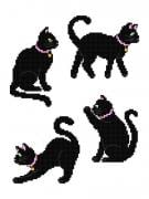 Gatos negros (4)