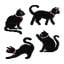 Gatos negros (4)