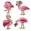 Flamencos (4)