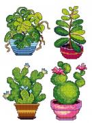 Plantas en maceta (4)