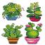 Plantas en maceta (4)