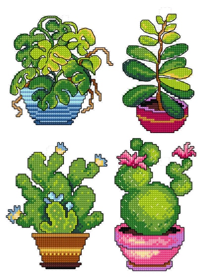 Plantas en maceta (4)