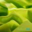 PUL ProSoft FoodSAFE® - 1mil - Verde manzana