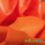PUL ProSoft FoodSAFE® - 1mil - Naranja
