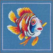 Pez nemo feliz
