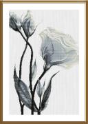 Flores blancas de amor