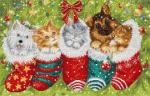Dogs and Cats in Stockings
