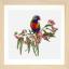 Parrot in Bloom - Lino