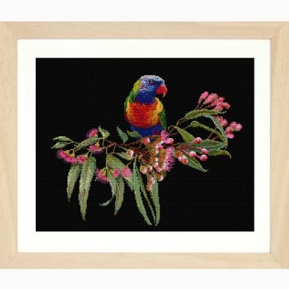 Parrot in Bloom - Negro - Aida