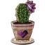 Cactus columnares - Corazón