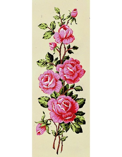 Rosas rosas