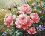 The Roses Garden - Medio Punto