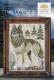 A Year In The Woods II - 1 - The Wolf