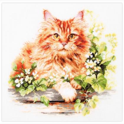 The Ginger Cat