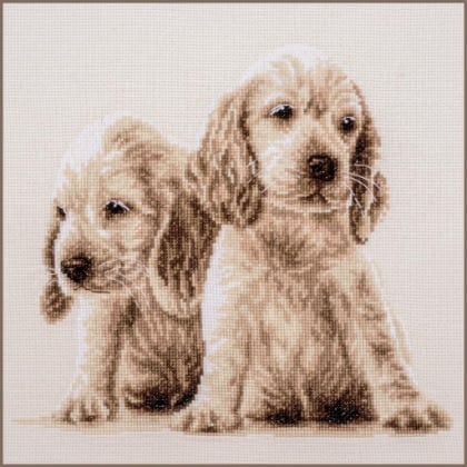 2 Cachorros