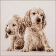 2 Cachorros