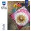 Cojín - Flor de pelusa