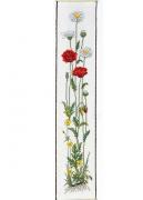 Amapola