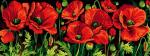 Amapolas