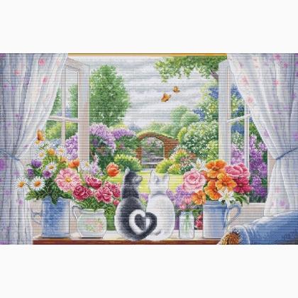 The Window of Dreams