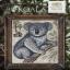 A Year In The Woods II - 3 - The Koala