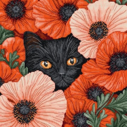 Ojos de amapola
