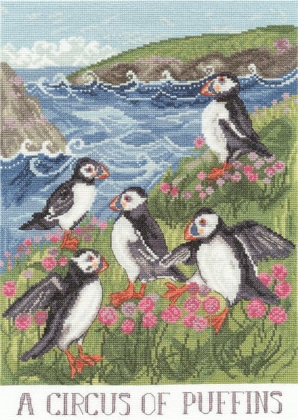 A Circus Of Puffins