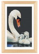 Swans and Signets - Aida negro