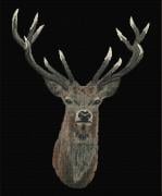 Red Deer - Negro