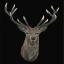 Red Deer - Negro