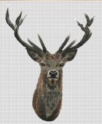 Red Deer - Lino