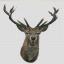 Red Deer - Lino