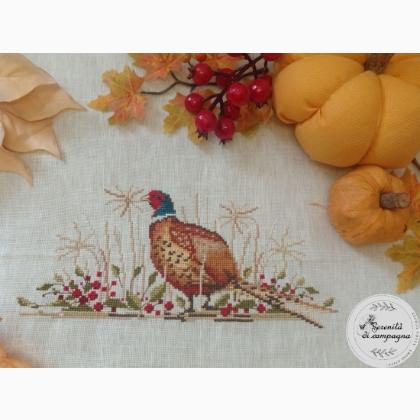 Pheasant - Fagiano
