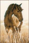 Caballo