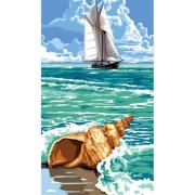 Du large au coquillage
