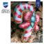 Cushion - Dulce