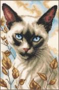 Gato Siamés