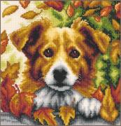 Perro en otoño