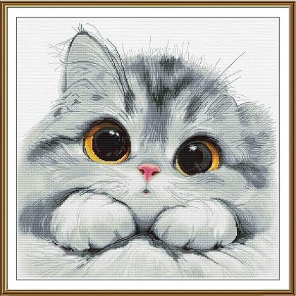 Gatito tímido