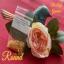 Beads Pack - The Lady Gardener- Original