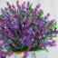 Aroma de lavanda