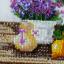 Aroma de lavanda