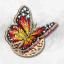 Mariposa brillante