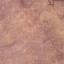 Glory - Lino Edimburgo 36ct