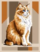 Main coon roux