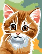 Chat roux